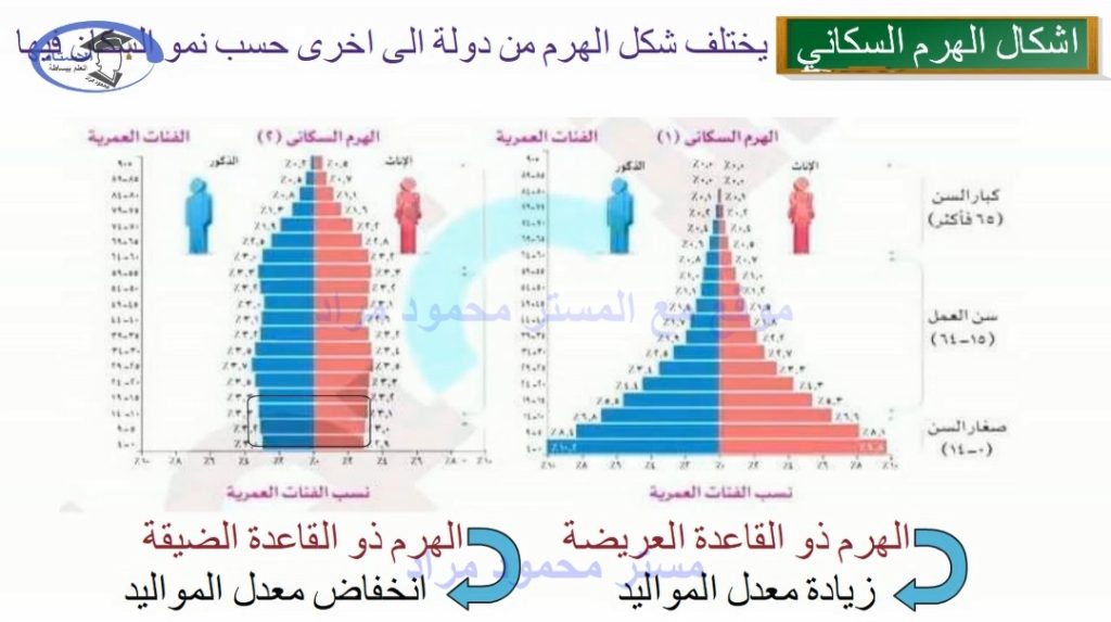 الهرم السكاني لمصر للصف الخامس الابتدائي دراسات اجتماعية المنهج الجديد موقع مع المستر