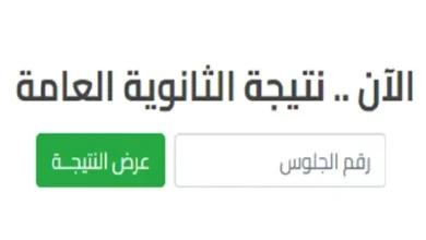 نتيجة الثانوية العامة مصر 2024